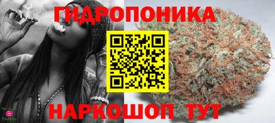 PSILOCYBIN Нальчик