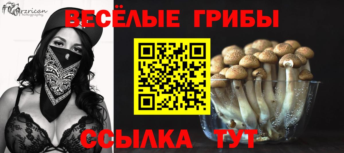 Галлюциногенные грибы мухоморы Славянск-на-Кубани
